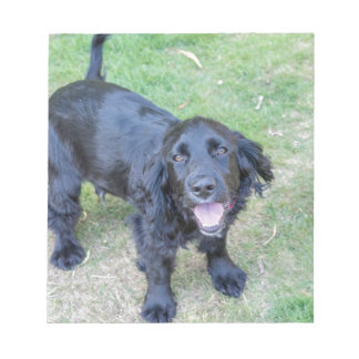 Cute Black Puppy Notepad