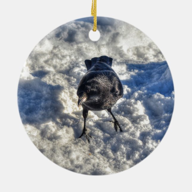 Cute Black Raven in the Snow Photo Ceramic Ornament (Back)