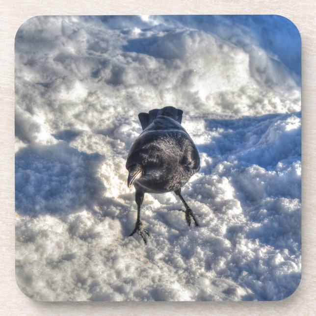 Cute Black Raven in the Snow Photo Coaster (Front)
