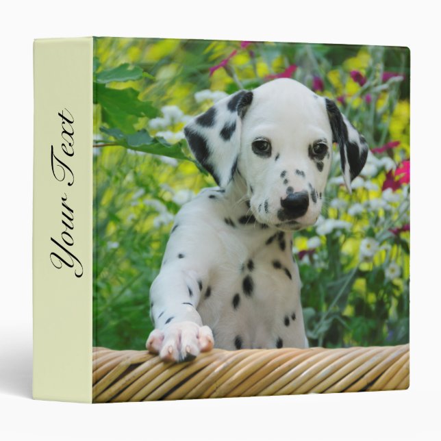 Cute black spotted Dalmatian Baby Dog Puppy Photo Binder (Front/Spine)
