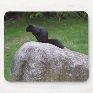 Cute Black Squirrel on a Rock Nature Squirrels     Mouse Pad