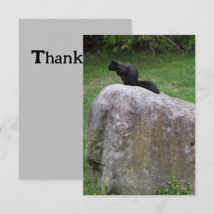 Cute Black Squirrel on a Rock Nature Squirrels     Thank You Card