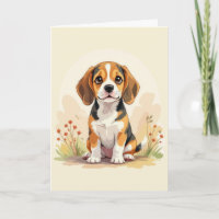 Cute Black Tan & White Tricolor Beagle Puppy