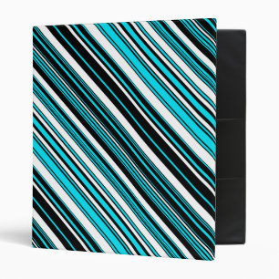 Cute black white aqua stripes binder