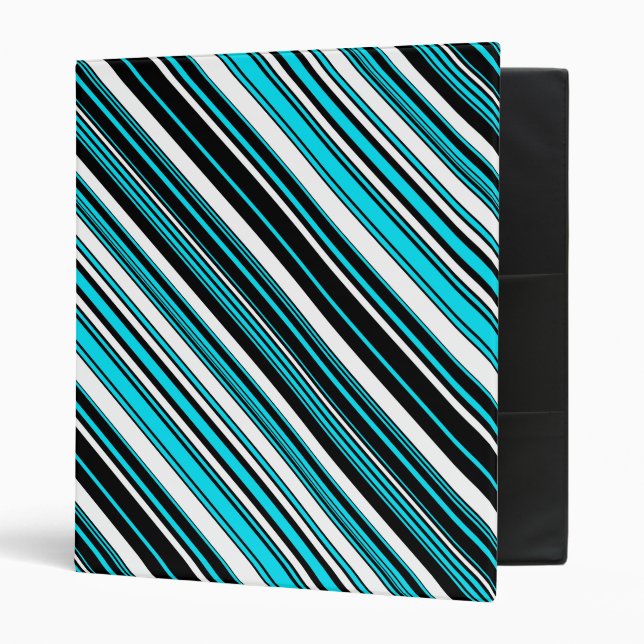 Cute black white aqua stripes binder (Front/Inside)