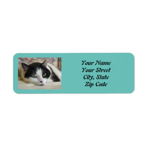 Cute Black White Cat Custom Photo Teal
