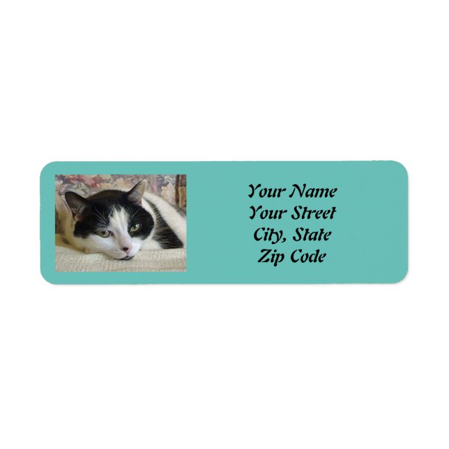 Cute Black White Cat Custom Photo Teal (Front)