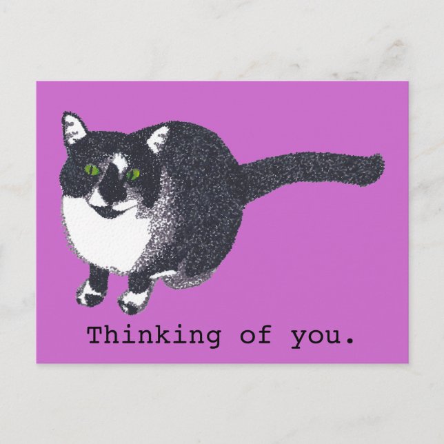 Cute Black White Cat in Pointillism Postcards (Front)