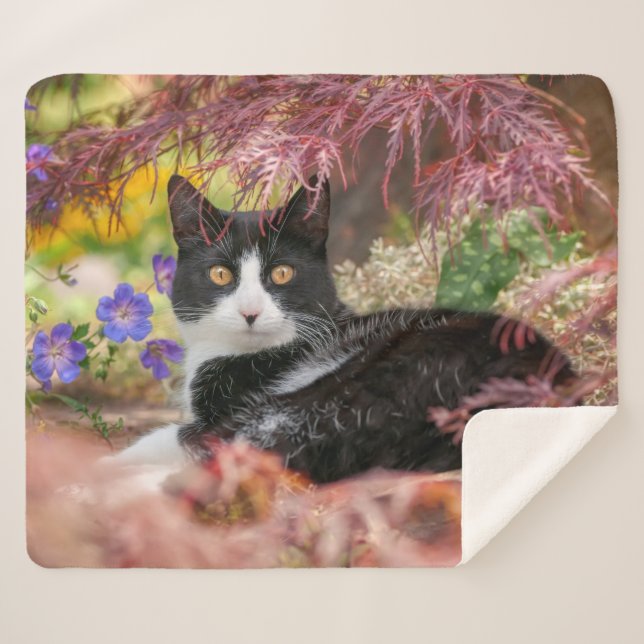 Cute Black-White Cat Resting under a Maple Tree -  Sherpa Blanket (Front (Horizontal))
