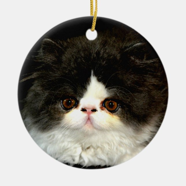 Cute black white kitten cat ceramic ornament (Front)