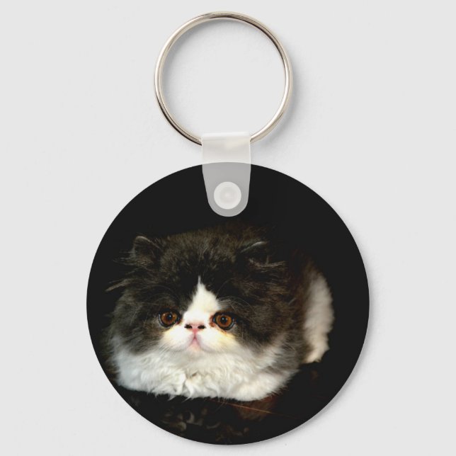 Cute black white kitten cat keychain (Front)