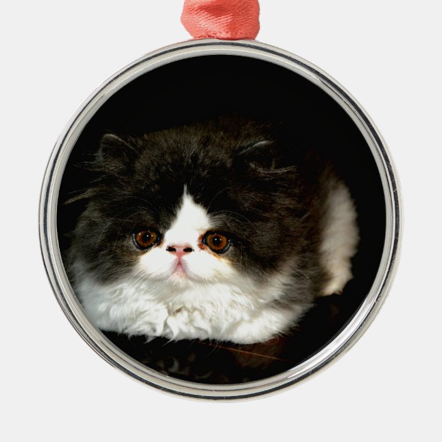 Cute black white kitten cat metal ornament (Front)