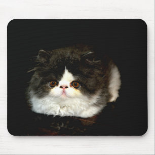Cute black white kitten cat mouse pad