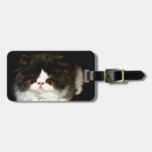 Cute black white kitten cat ragdoll photo luggage tag