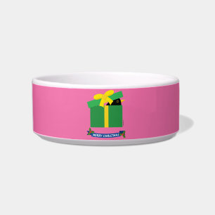 Cute Blackbird Peeking Out Of A Gift Box Bowl