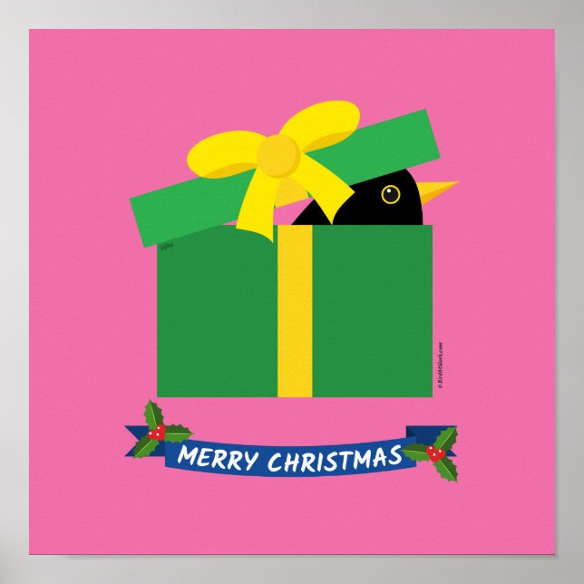 Cute Blackbird Peeking Out Of A Gift Box Poster (Front)