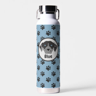 Cute blue, black paw print stainless steel  water bottle