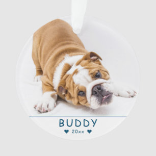 Cute Blue Dog or Pet Photo Ornament