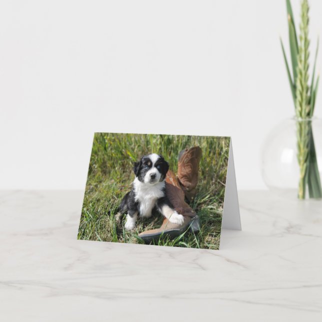 Cute blue eyed Aussie puppy with cowboy boots Note Card (Front)