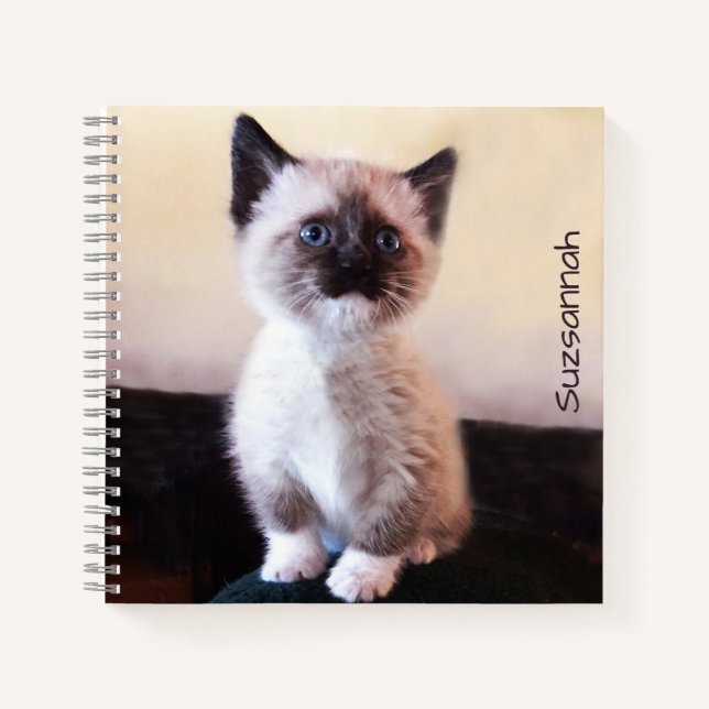 Cute Blue Eyed Pet Siamese Kitten Placeholder Notebook (Front)