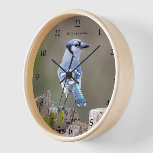 Cute Blue Jay Songbird on Treestump Clock