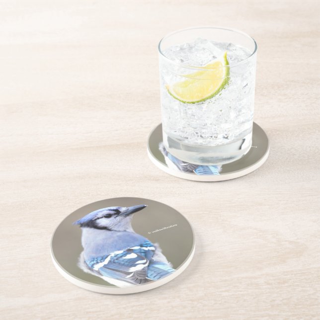 Cute Blue Jay Songbird on Treestump Coaster (Side)