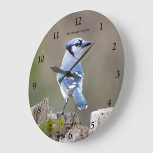 Cute Blue Jay Songbird on Treestump Large Clock