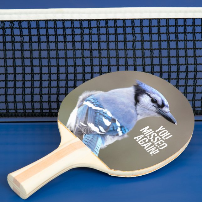 Cute Blue Jay Songbird on Treestump Ping Pong Paddle (Insitu)