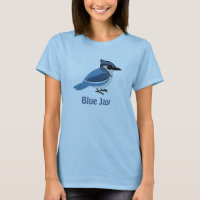 Cute Blue Jay