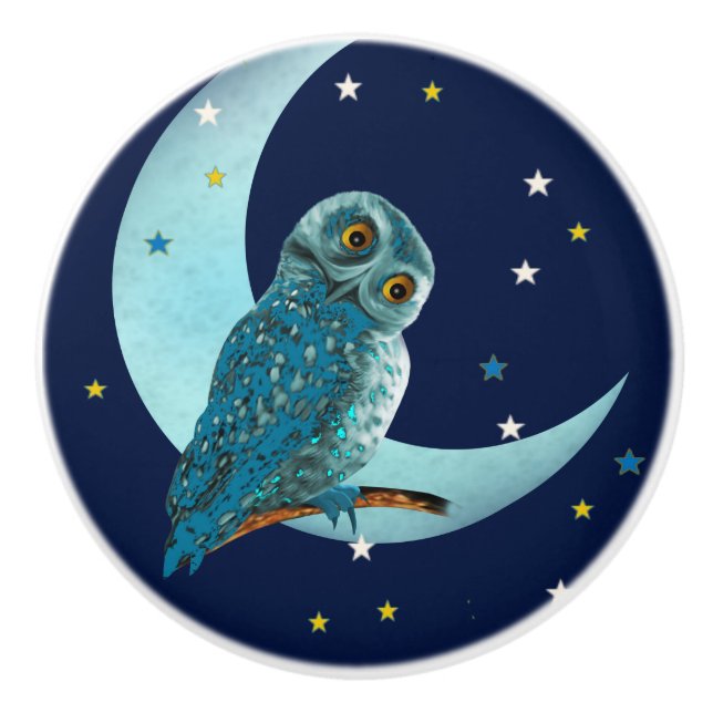 Cute Blue Owl with Moon and Stars Ceramic Knob (Front)