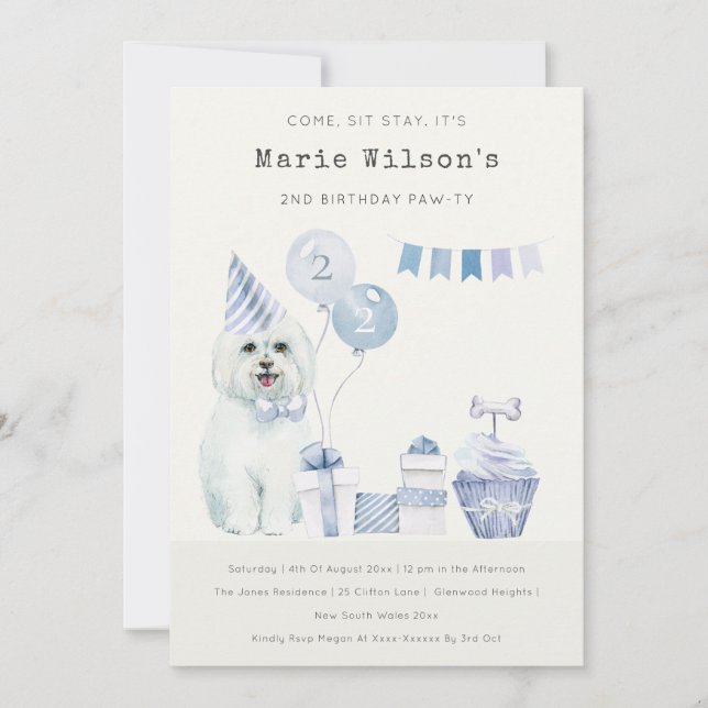 Cute Blue Puppy Dog Any Age Birthday Party Invite  (Front)