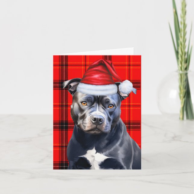 Cute Bluenose Pitbull Santa Dog Red Plaid Holiday Card (Front)