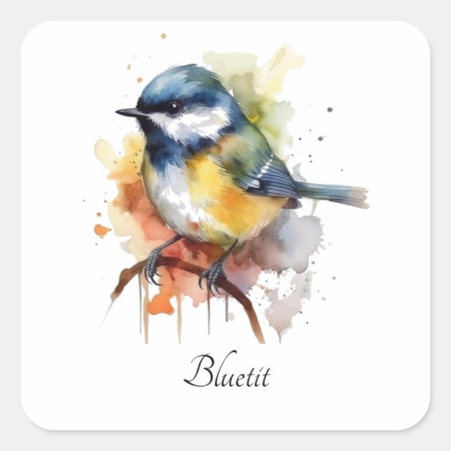 Cute Bluetit on a Branch, custom Square Sticker (Front)