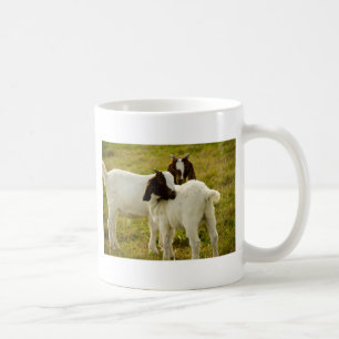 Cute Boer Goats in Sunny Pasture Farm Animal Coffee Mug