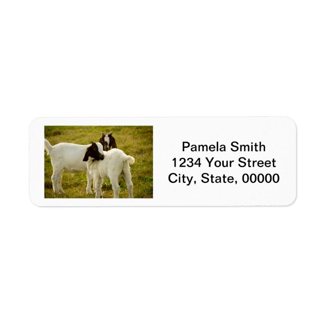 Cute Boer Goats Personalize Return Address (Front)