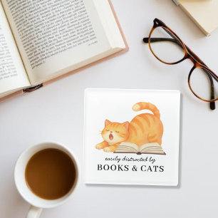Cute Bookish Ginger Cat Funny Book Saying Glass Coaster