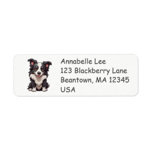 Cute Border Collie