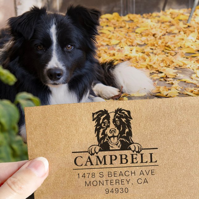 Cute Border Collie Custom Dog Address Stamp  (Creator Uploaded)