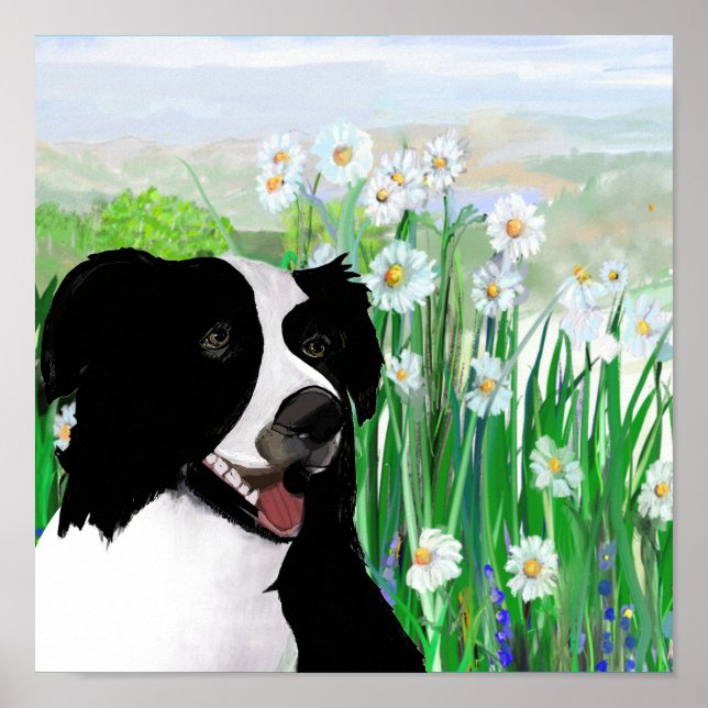 Cute, Border Collie Daisies Wall Art Poster (Front)