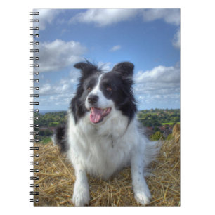 Cute Border Collie Dog Photo Notebook
