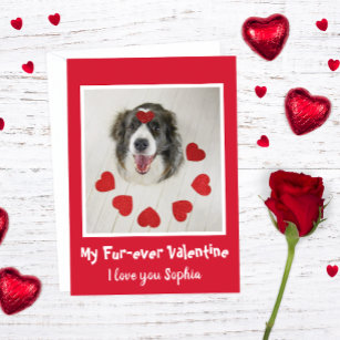 Cute Border Collie dog Valentine's day love hearts Holiday Card
