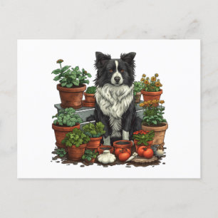 Cute Border Collie Gardening Postcard