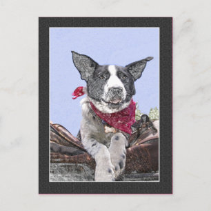 Cute Border Collie Heeler Mix Dog Sketch Art Hello Postcard