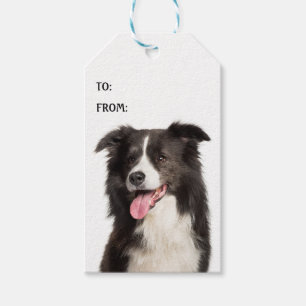Cute Border Collie Puppy Dog Lover Black White Gift Tags