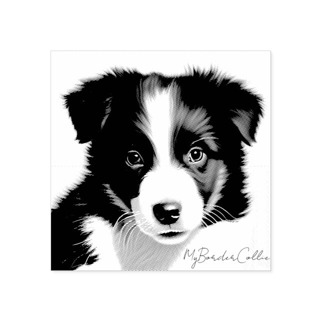 Cute Border Collie Puppy Portrait Pet Keepsake Rubber Stamp (Imprint)