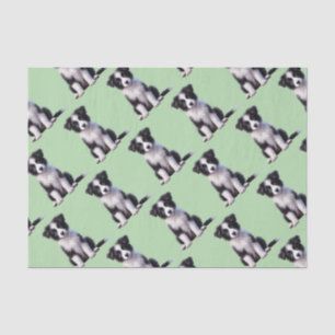 Cute Border Collie Puppy Tissue Paper