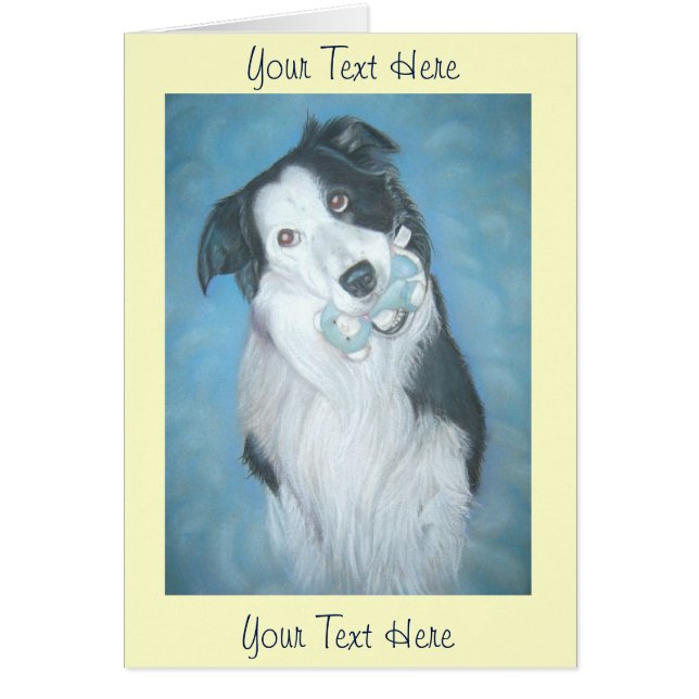 cute border collie teddy dog portrait art design (Front)