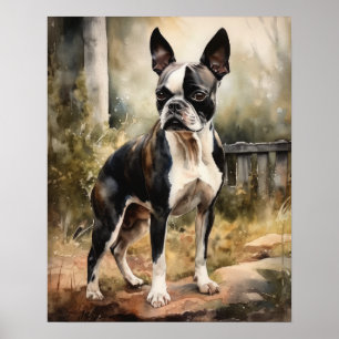 Cute Boston Terrier Dog Art Print Poster