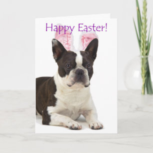 Cute Boston Terrier Easter Card