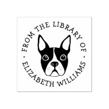 Cute boston terrier from the library of book name